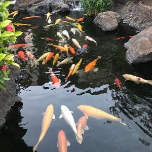 Meet your Posher, Bill